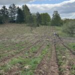 20250501_075528525_iOS