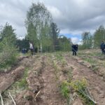 20250501_075539791_iOS