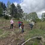 20250501_075809966_iOS