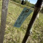 20250501_103557636_iOS